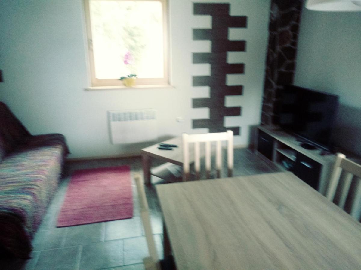 Apartma Hiska Korosec ボーヒニ エクステリア 写真